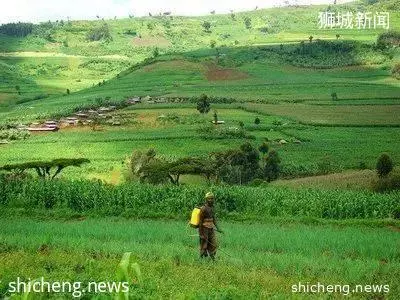 【新加坡门票】新加坡旅游必备物品清单 去新加坡旅游注意事项