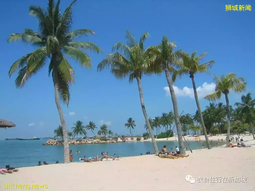 去新加坡旅游，什么特产适合带回来呢